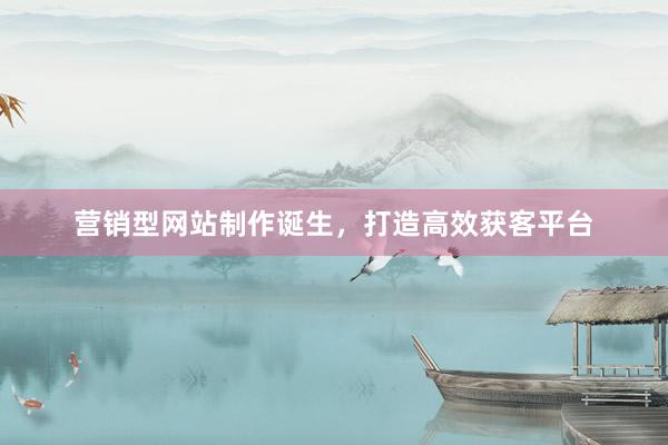 营销型网站制作诞生，打造高效获客平台