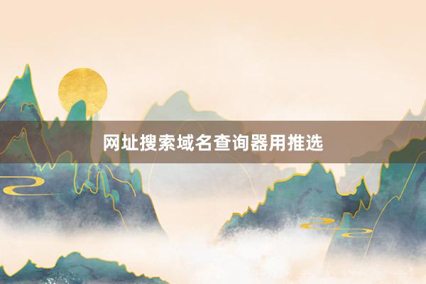 网址搜索域名查询器用推选